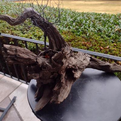 Pair of Driftwood Art Pieces (See all Pictures)