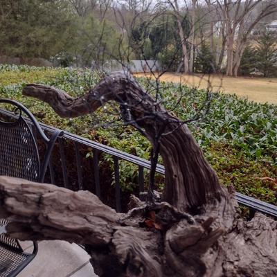 Pair of Driftwood Art Pieces (See all Pictures)