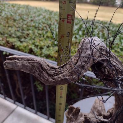 Pair of Driftwood Art Pieces (See all Pictures)