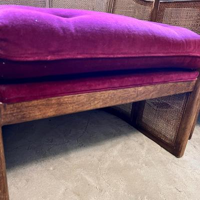 Pair of Mid Century Cane Back Vintage Chairs