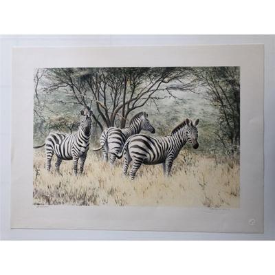 A Dazzle of Zebras Print