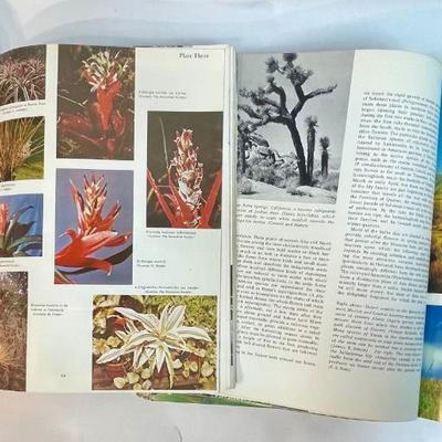 Vintage Plant Book Lot 1 - Bromeliads & Living Plants of the World