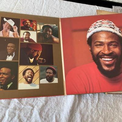 Marvin Gaye Anthology Record Album