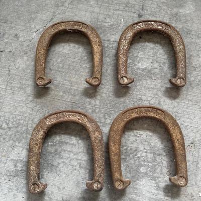 Horseshoe Set