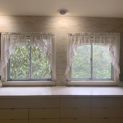 Lovely Lace Curtains and Valance (P-HS)