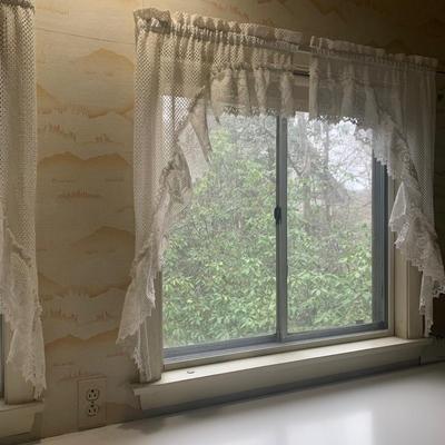 Lovely Lace Curtains and Valance (P-HS)