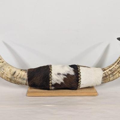 Mounted Steer Horns