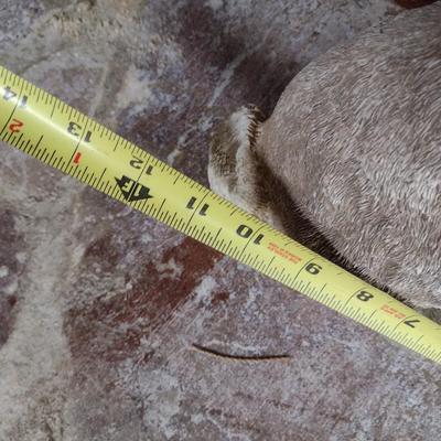 Concrete Rabbit Garden Statuette