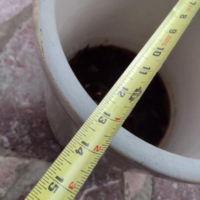 Vintage #6 Salt Glaze Louisville Indian Head Crock Choice A