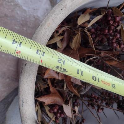 Vintage #6 Salt Glaze Louisville Indian Head Crock Choice B