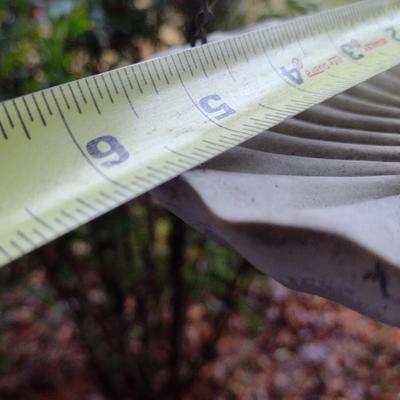 Solid Resin Frog on Shell Bird Feeder