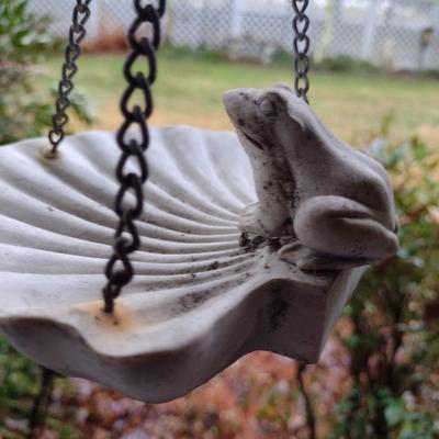 Solid Resin Frog on Shell Bird Feeder