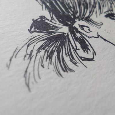" Girls Best Friend", Original sketch artist Sidney Dushan