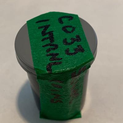 Misc Coin Lot - Many Silver C033