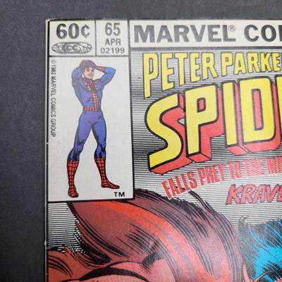 Vintage Spider-Man Comic Books