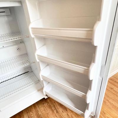 FRIGIDAIRE ~ Commercial ~ 2003 Upright Freezer