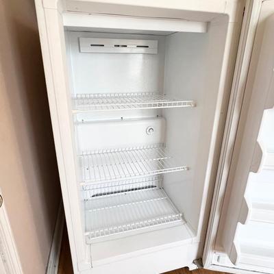 FRIGIDAIRE ~ Commercial ~ 2003 Upright Freezer