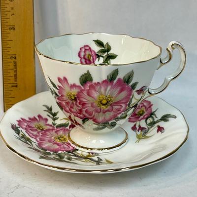 Adderly Fine Bone China Footed Cup and Saucer, Pink and Red Floral, England, 1950s