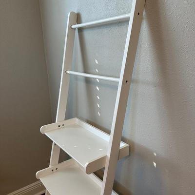 Ladder Bookshelf