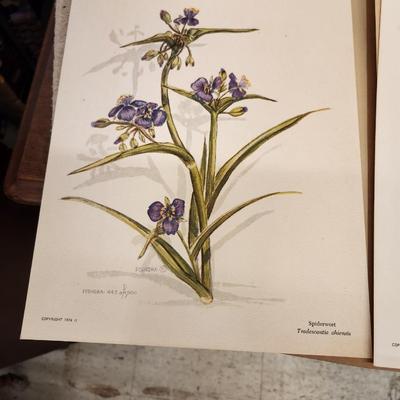 Podhora artwork