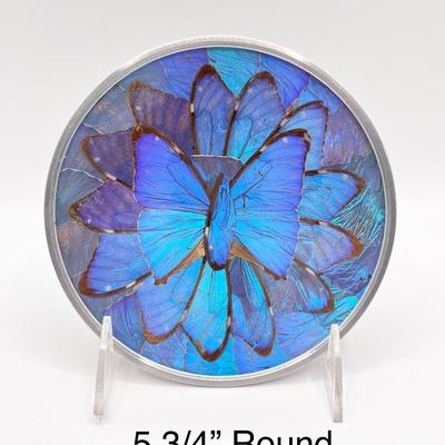 Vtg. Iridescent Morpho Blue Butterflies Wall Decor ~ Set Of Four (4)