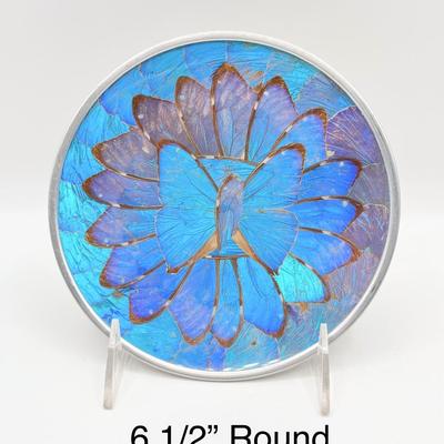 Vtg. Iridescent Morpho Blue Butterflies Wall Decor ~ Set Of Four (4)