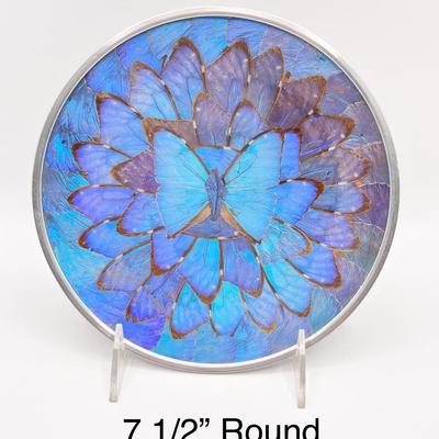 Vtg. Iridescent Morpho Blue Butterflies Wall Decor ~ Set Of Four (4)