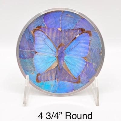 Vtg. Iridescent Morpho Blue Butterflies Wall Decor ~ Set Of Four (4)