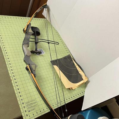 Ben Pearson Bow and Target