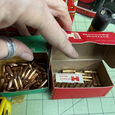 Rifle Cleaners and Bullet Bundle