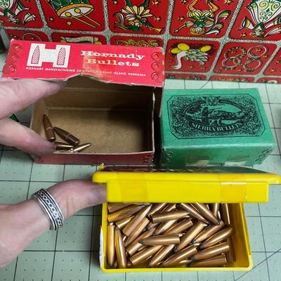 Rifle Cleaners and Bullet Bundle