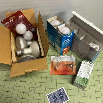 Light Bulb Bundle