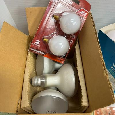 Light Bulb Bundle
