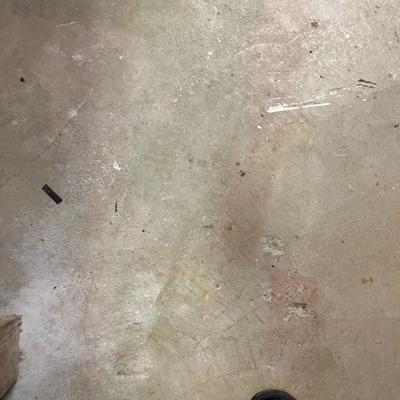 Wheel Well Molding 