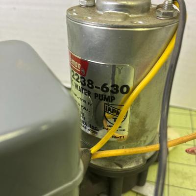 Vintage Coleman Water Pump