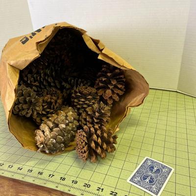 Pinecones