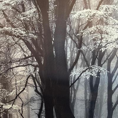 Patton Wall Decor Canvas (2)