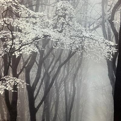 Patton Wall Decor Canvas (2)