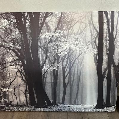 Patton Wall Decor Canvas (2)