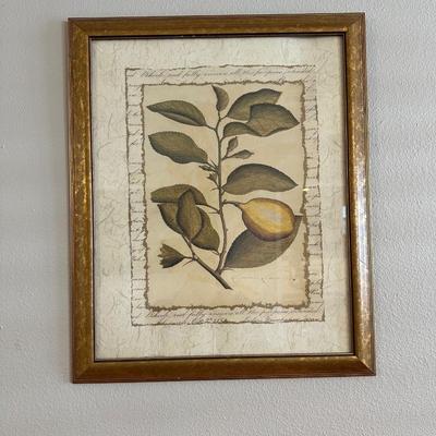 Framed Lemon Print