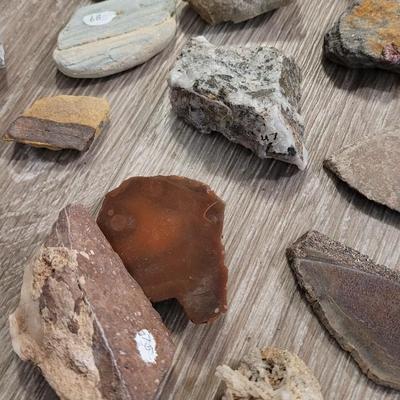 Large Colorado Rock Collection from a Museum Display