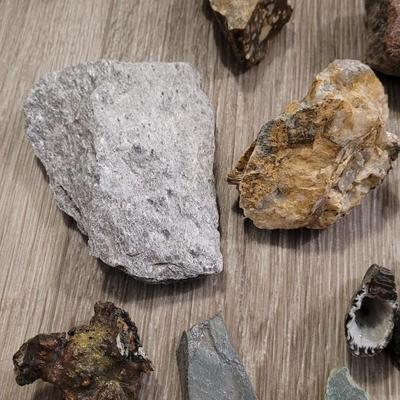 Large Colorado Rock Collection from a Museum Display