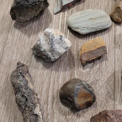 Large Colorado Rock Collection from a Museum Display