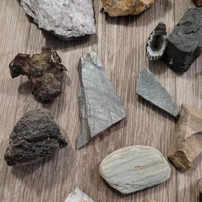Large Colorado Rock Collection from a Museum Display