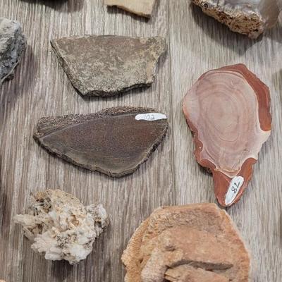 Large Colorado Rock Collection from a Museum Display