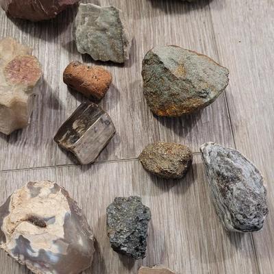 Large Colorado Rock Collection from a Museum Display