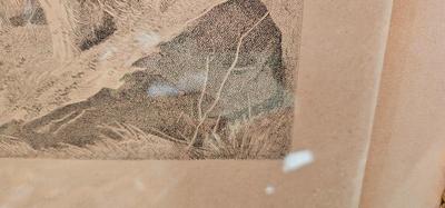 Pair of Large engravings of English and Scottish Gamekeepers after Richard Andsell paintings