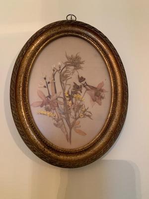 Vintage pair of framedpressed flowers