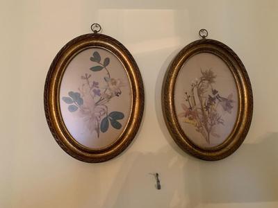 Vintage pair of framedpressed flowers