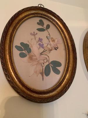 Vintage pair of framedpressed flowers